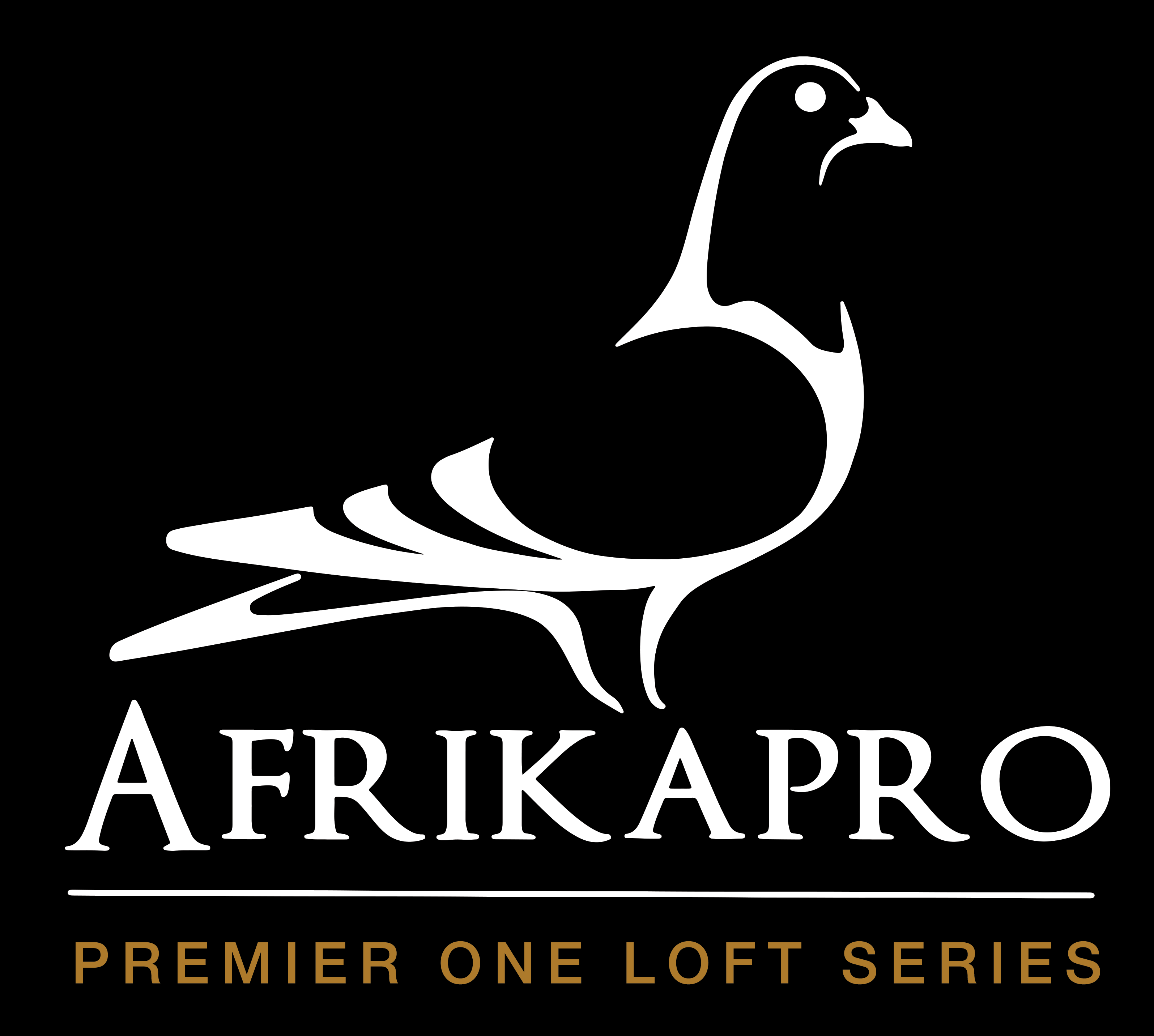 AFRIKAPRO Auction